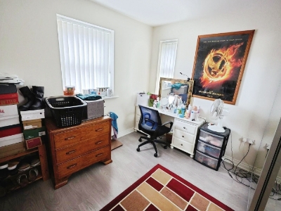 Picture 12